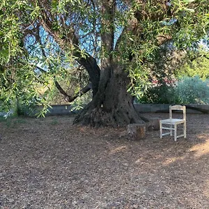 Hébergement de vacances Casa Olea, Sorso